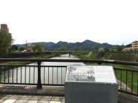 丸子橋橋上公園・丸子のこみち
